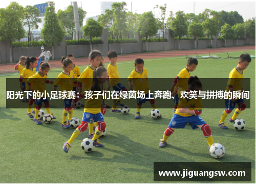 阳光下的小足球赛：孩子们在绿茵场上奔跑、欢笑与拼搏的瞬间